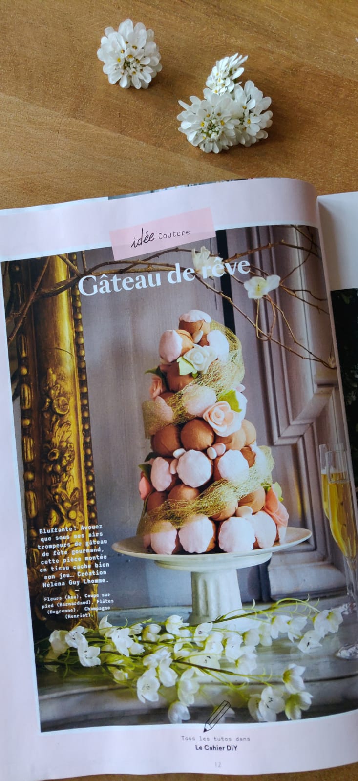 DIY Food : décorer un gâteau d'anniversaire avec des succulentes - Marie  Claire